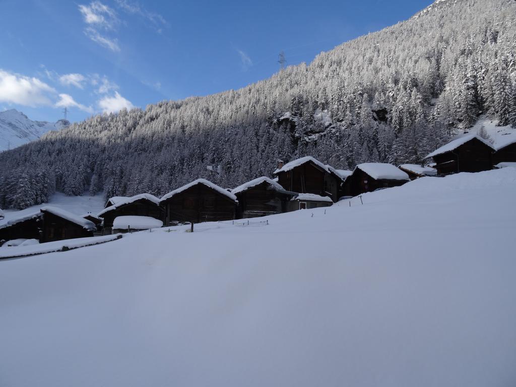 Carmena * Saas-Grund